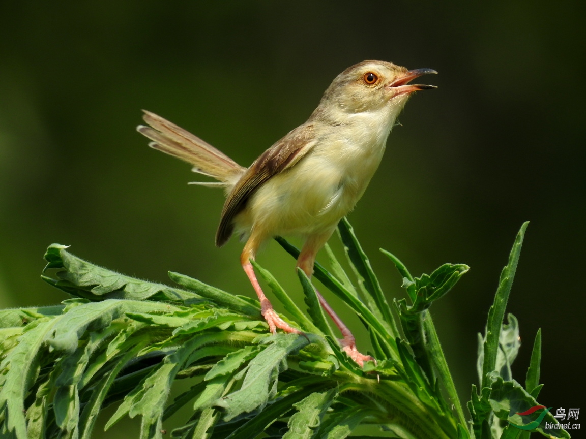 DSCN7700.JPG