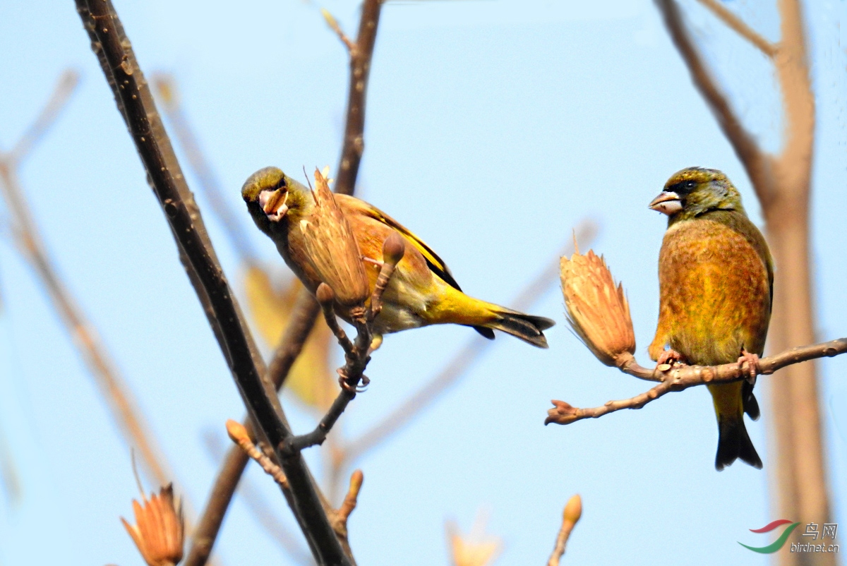 DSCN0630 ����.jpg