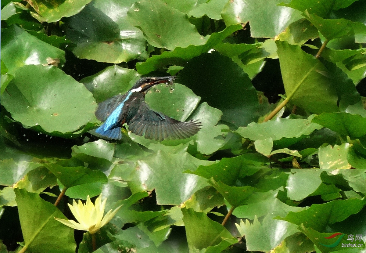 DSC07106 ����3.jpg