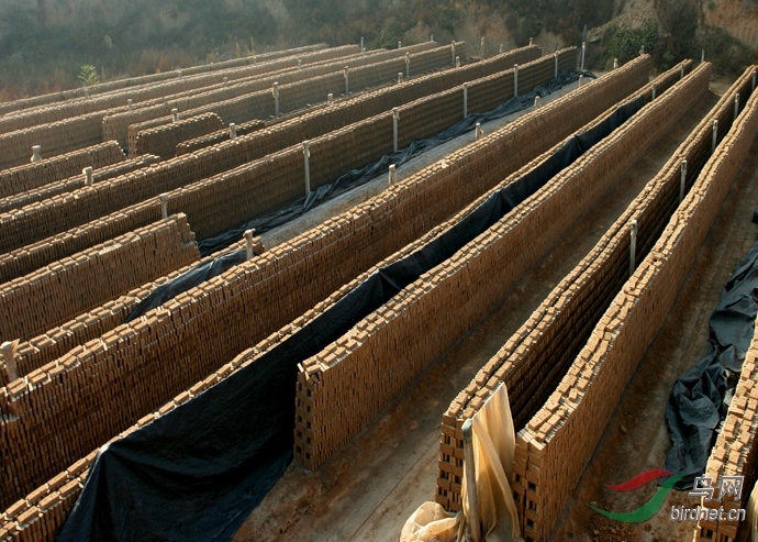 山西古建砖瓦厂图片