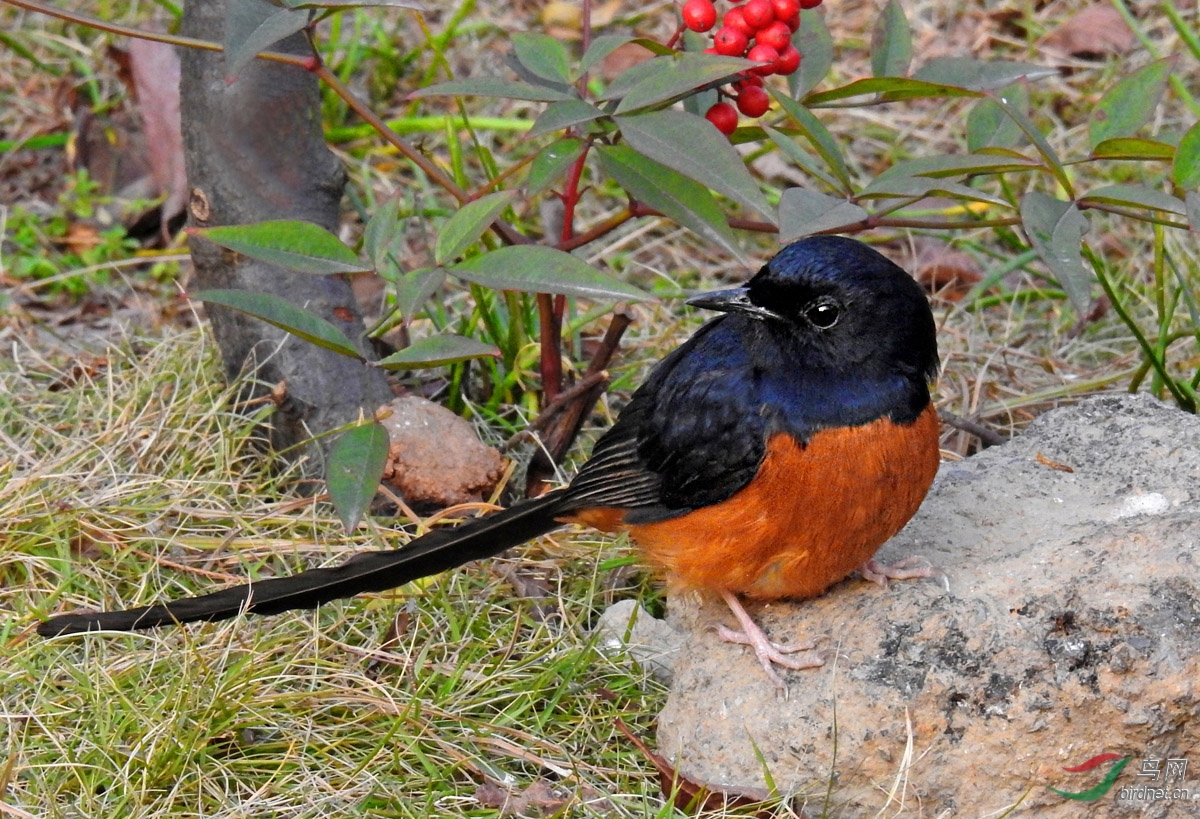 DSCN1730 ����.jpg