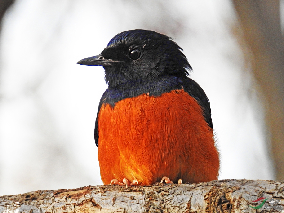 DSCN1727 ����.jpg