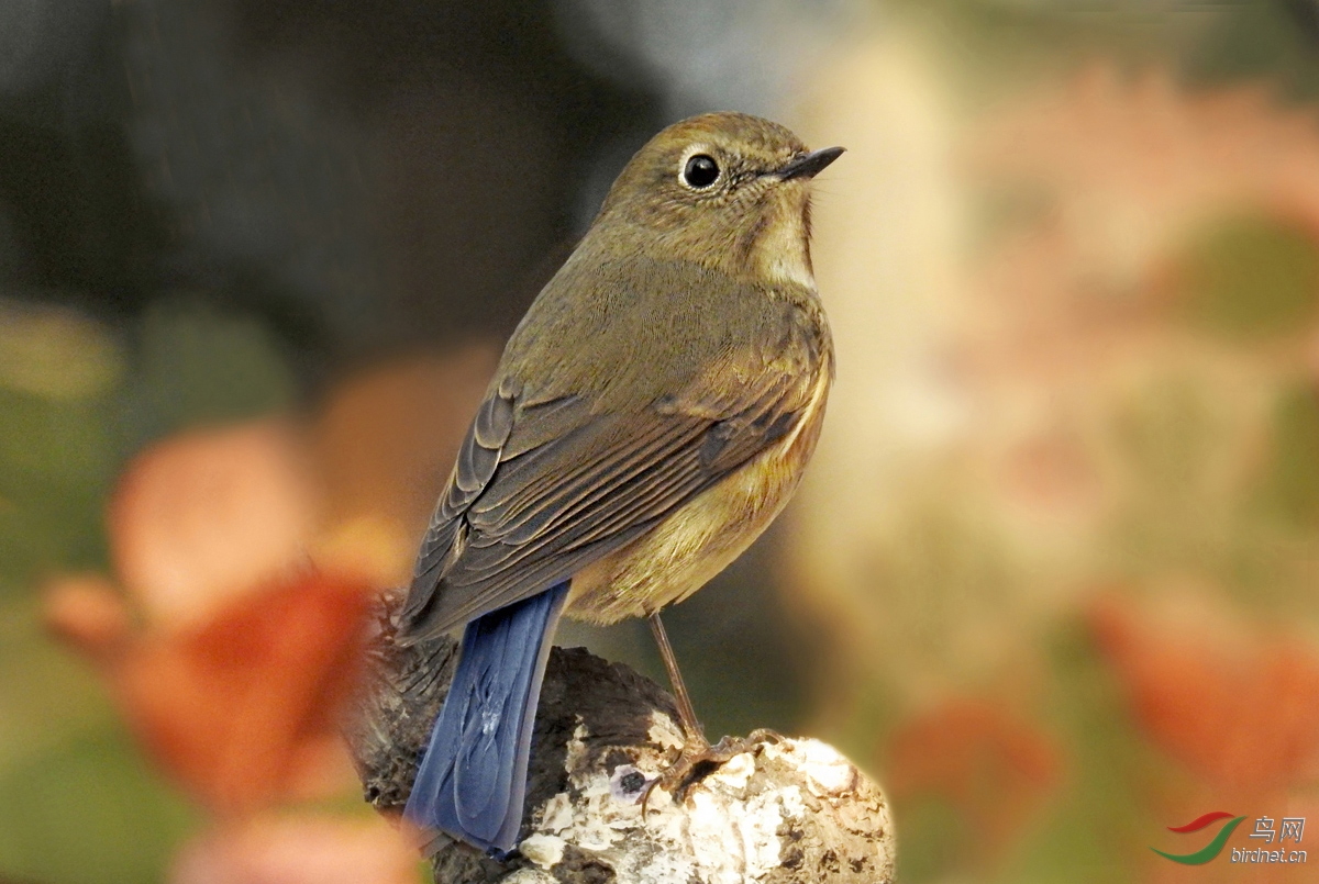 DSCN1380 ����.jpg