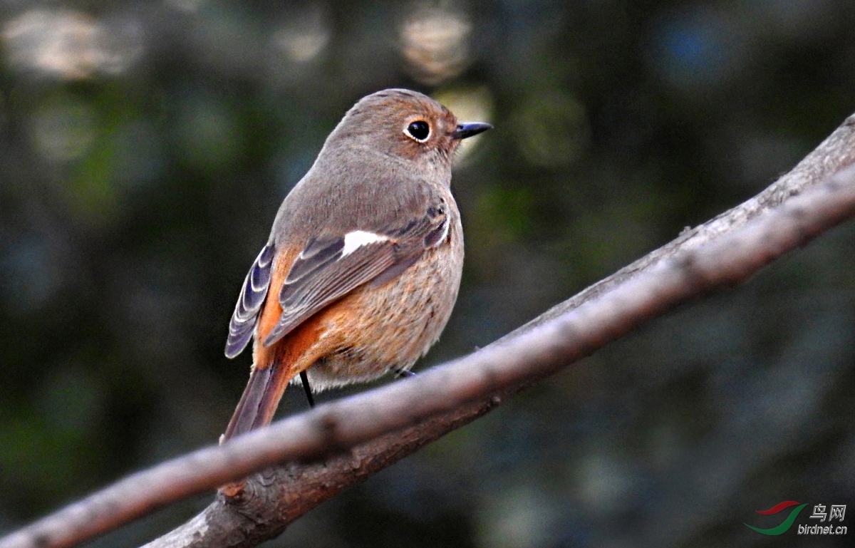 DSCN1383 ����.jpg