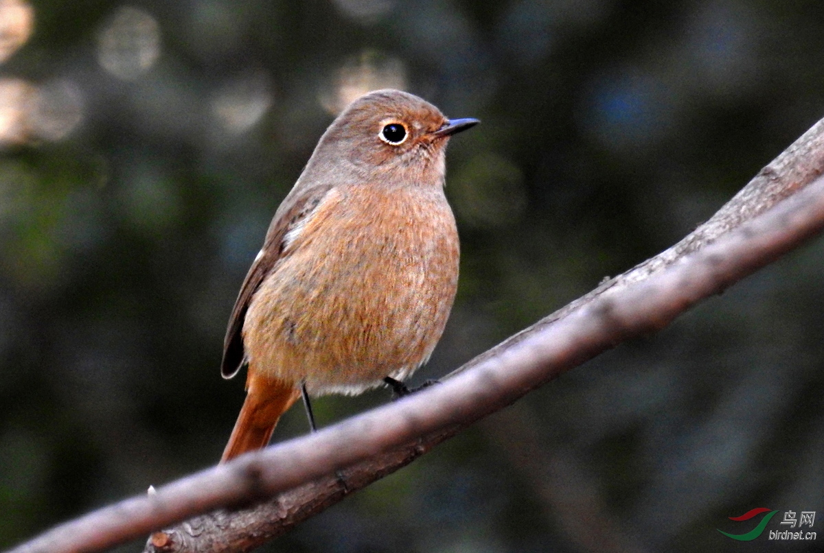 DSCN1386 ����.jpg