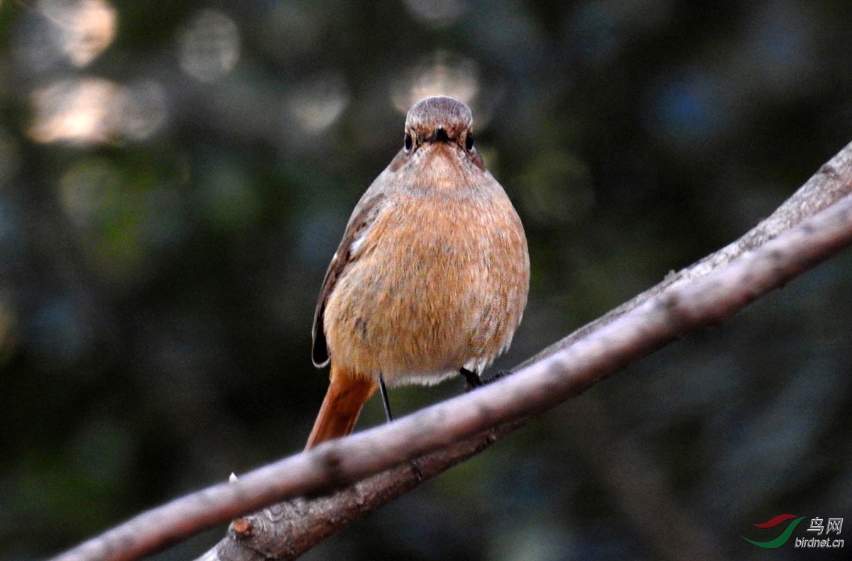 DSCN1387 ����.jpg