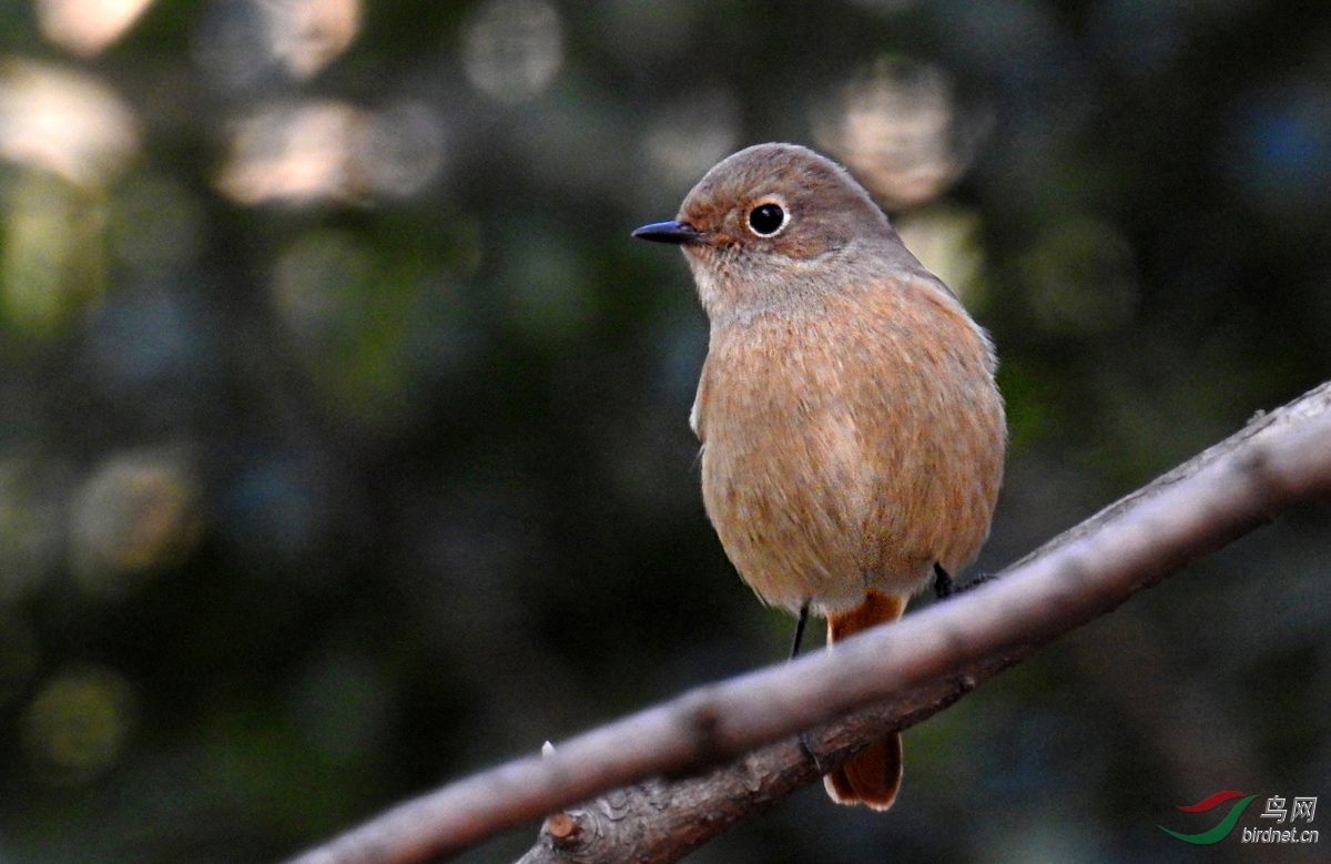 DSCN1388 ����.jpg