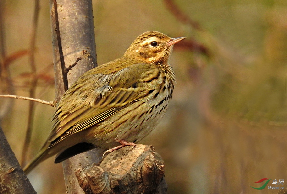 DSCN1694 ����.jpg