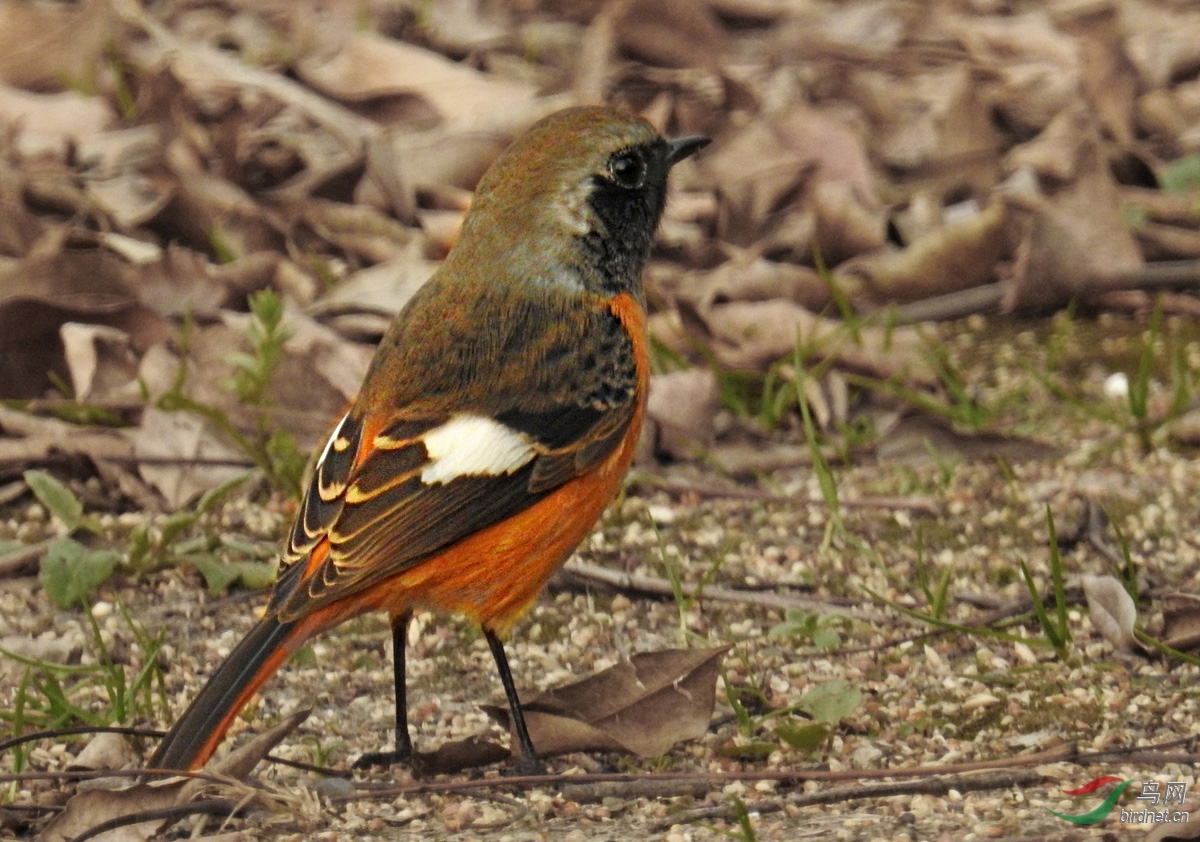 DSCN1645 ����4.jpg