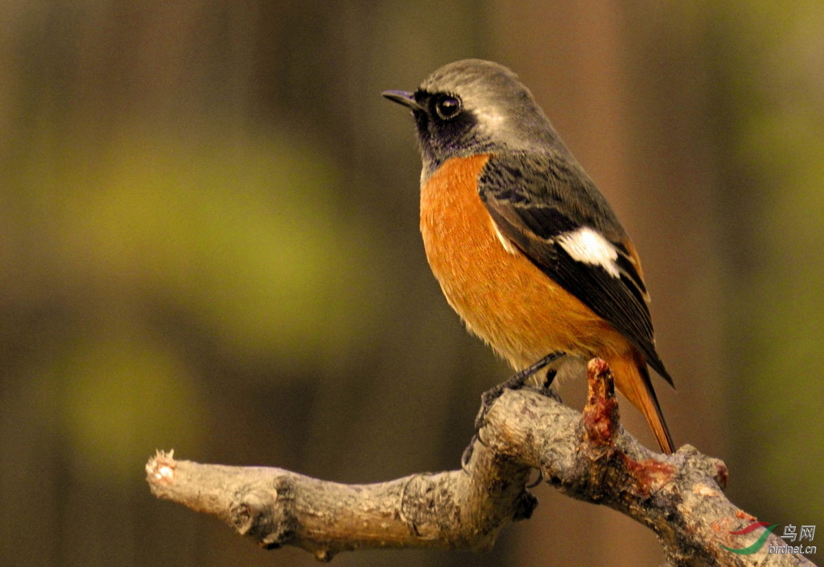 DSCN1646 ����4.jpg