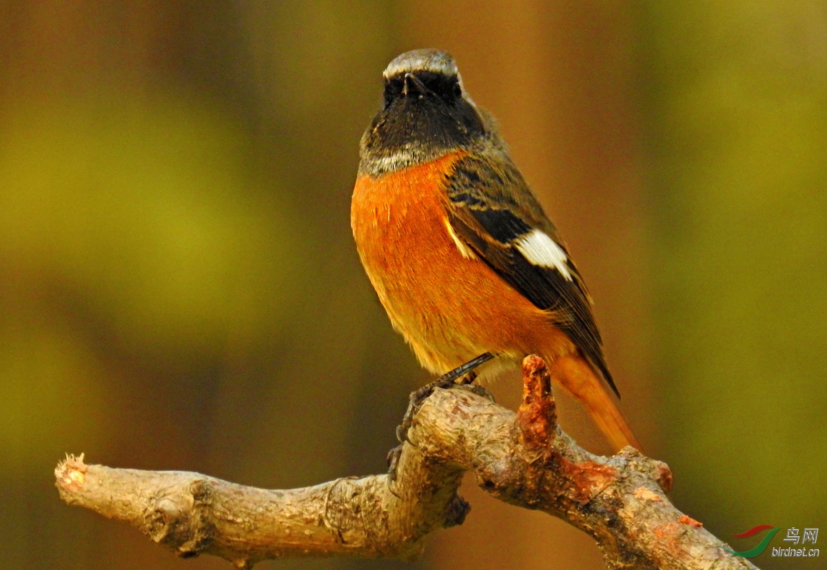 DSCN1647 ����4.jpg