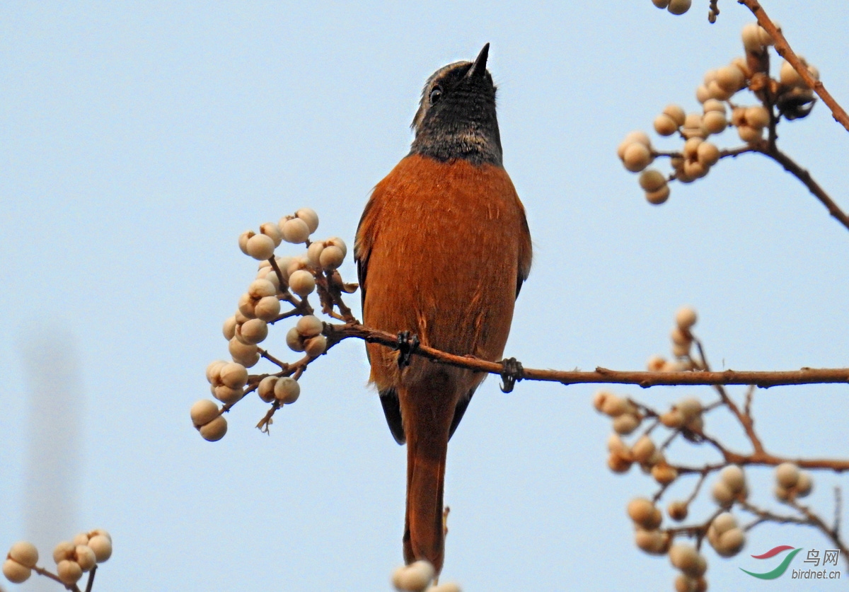 DSCN1653 ����4.jpg