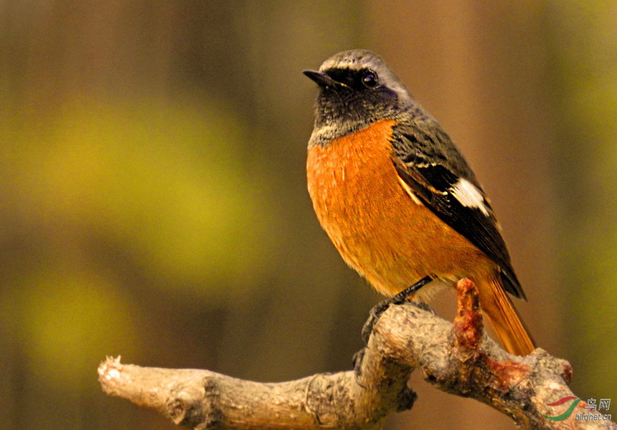 DSCN1649 ����4.jpg