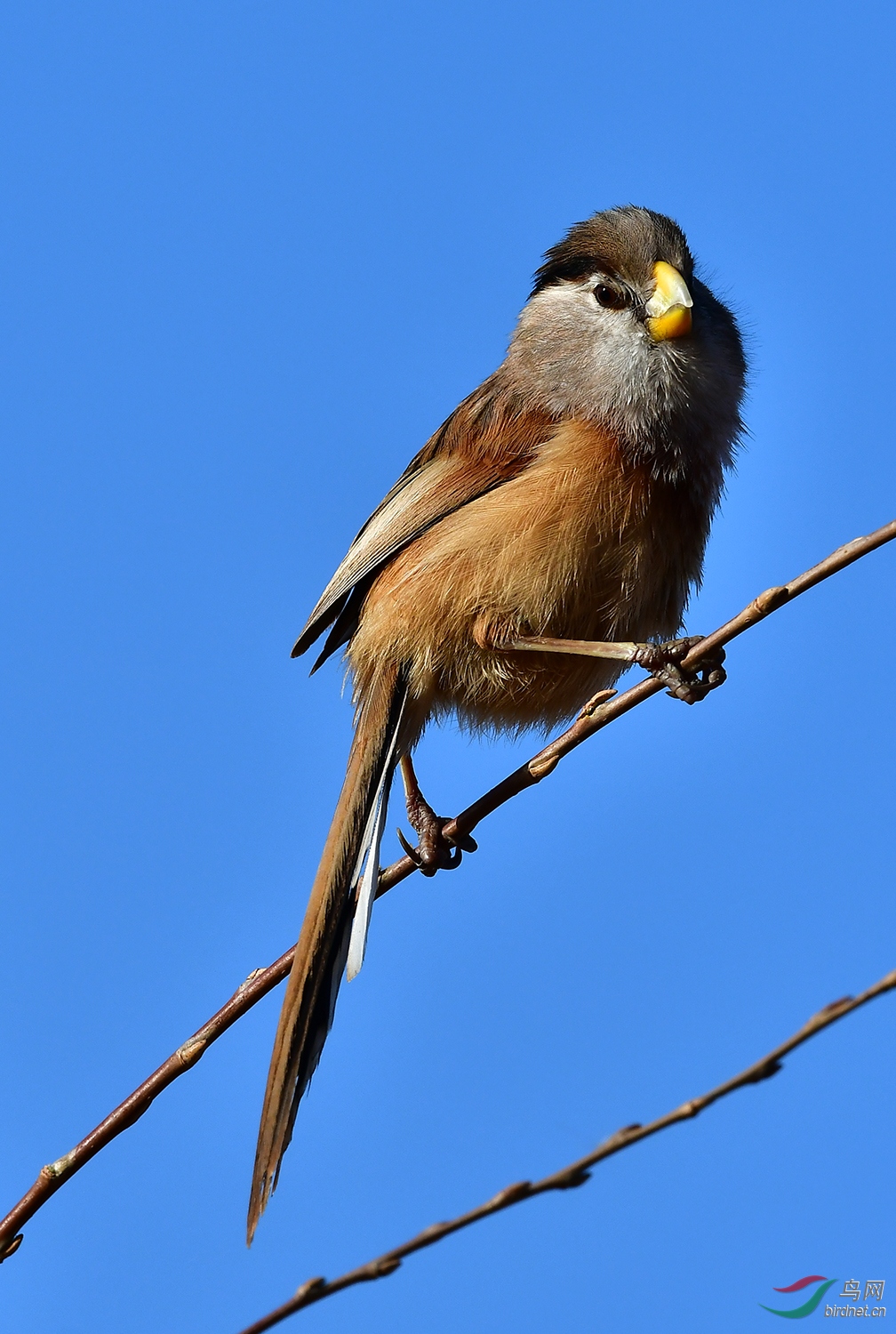 DSC_5098.jpg