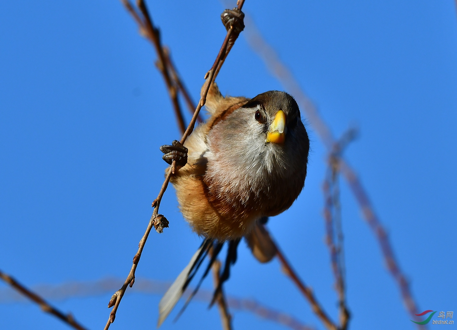 DSC_5104.jpg