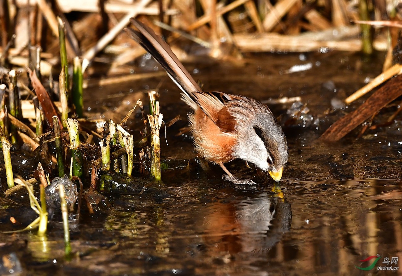 DSC_4893.jpg