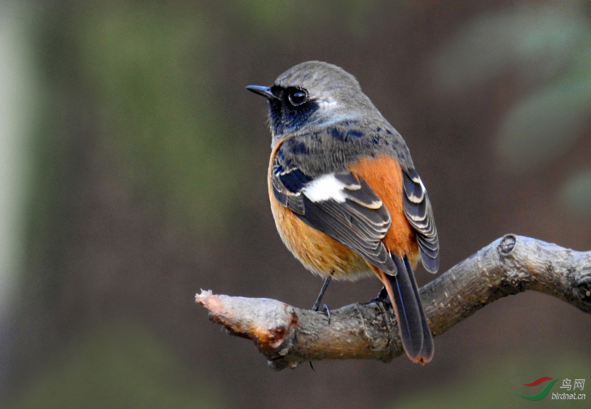 DSCN2075 ����.jpg