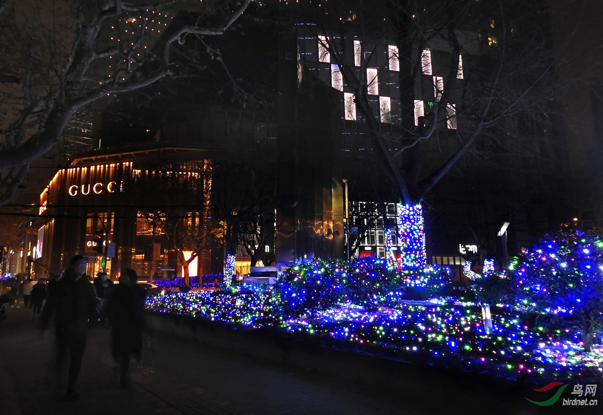 DSCN1973 ����2.jpg