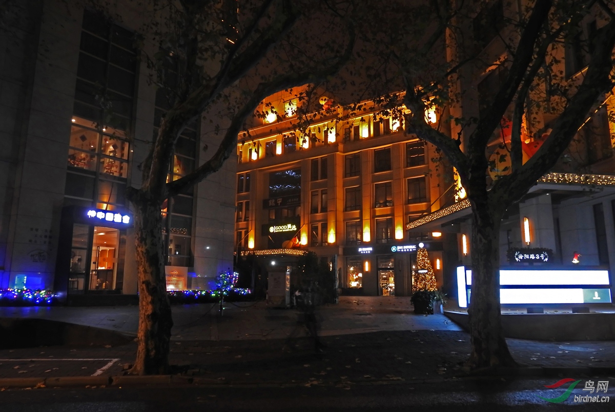 DSCN1965 ����2.jpg