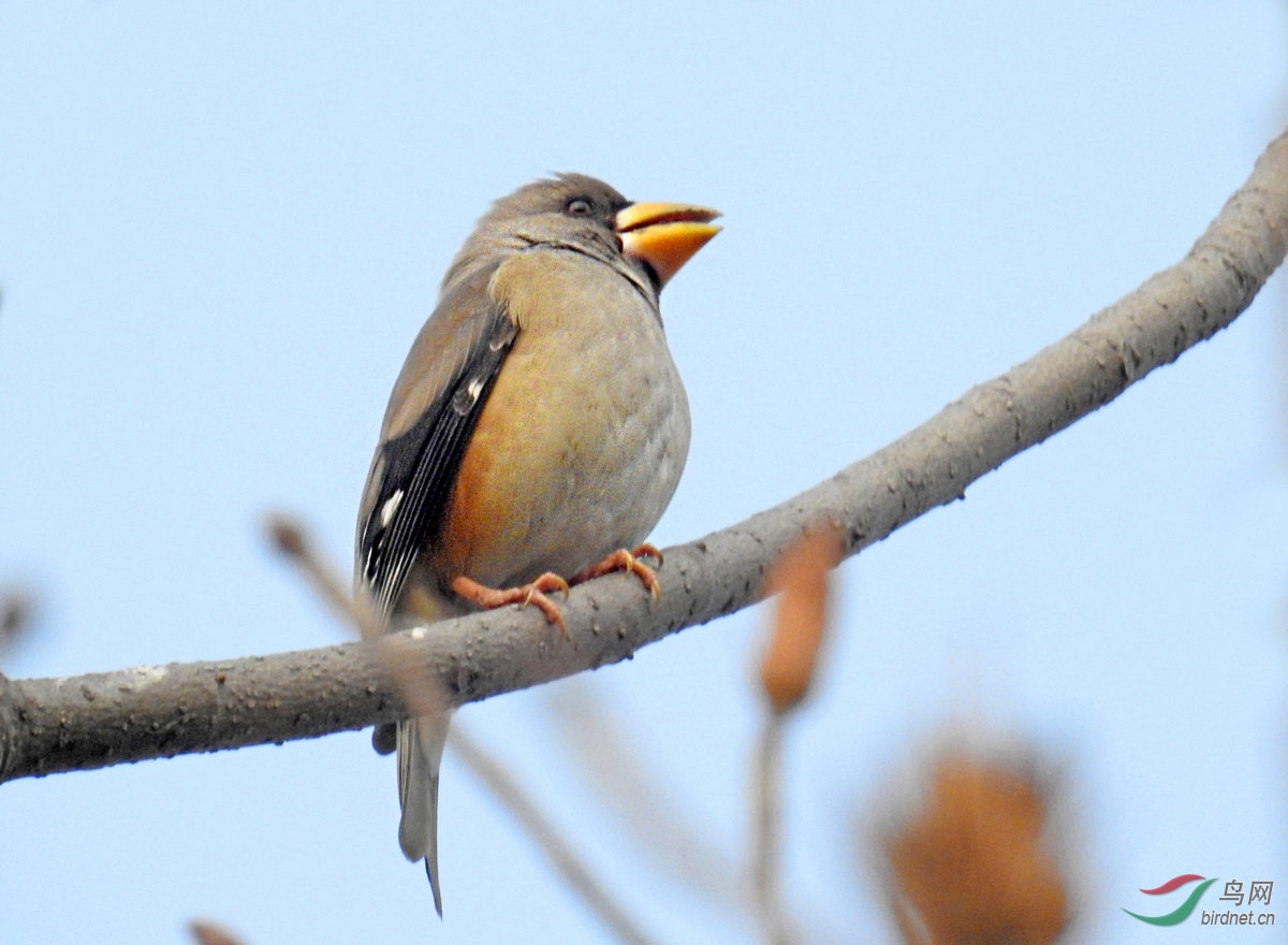 DSCN1990 ����.jpg