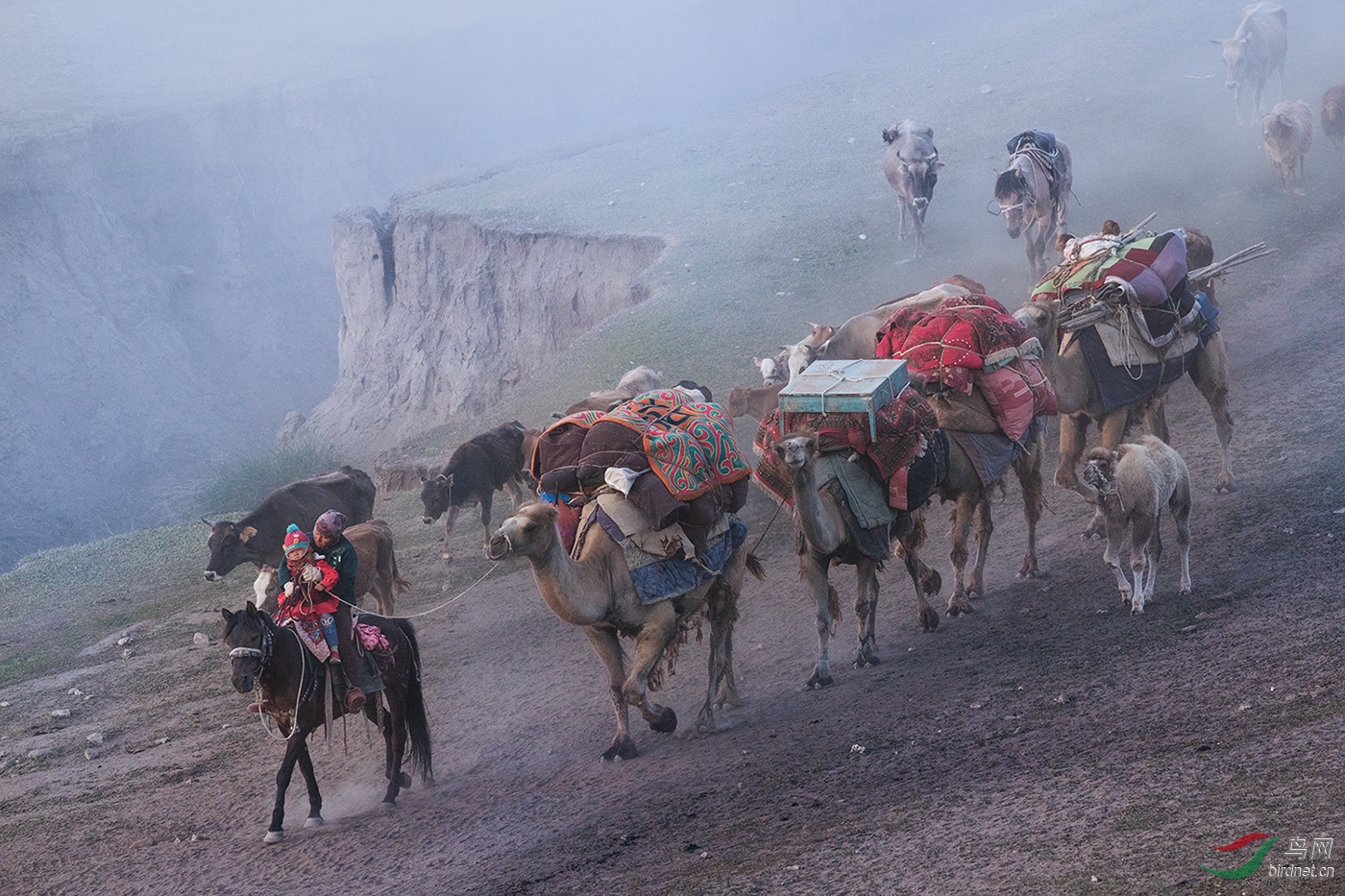 52--������̩ת��;�� ��--�����ݣ���Ϫ��Ҷ��.jpg