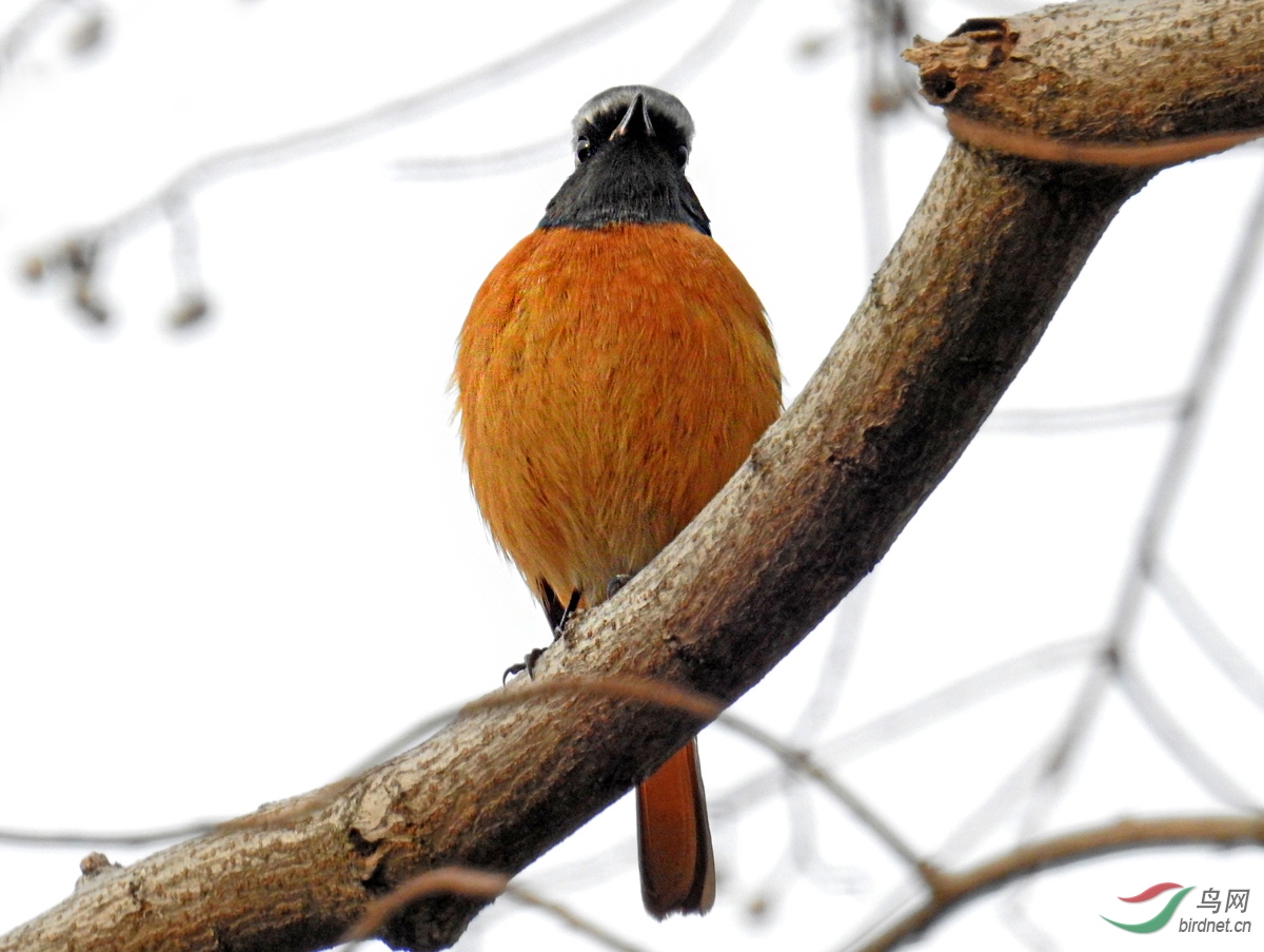 DSCN2084 ����.jpg