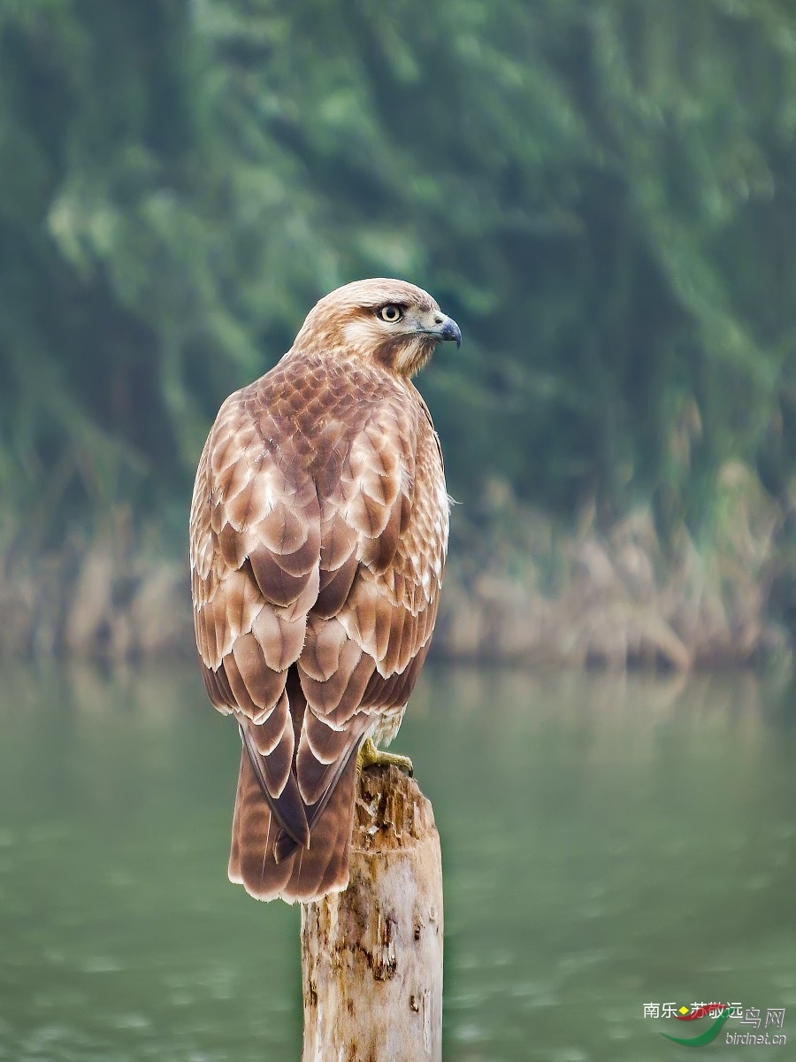 110����ͨ �\\.jpg