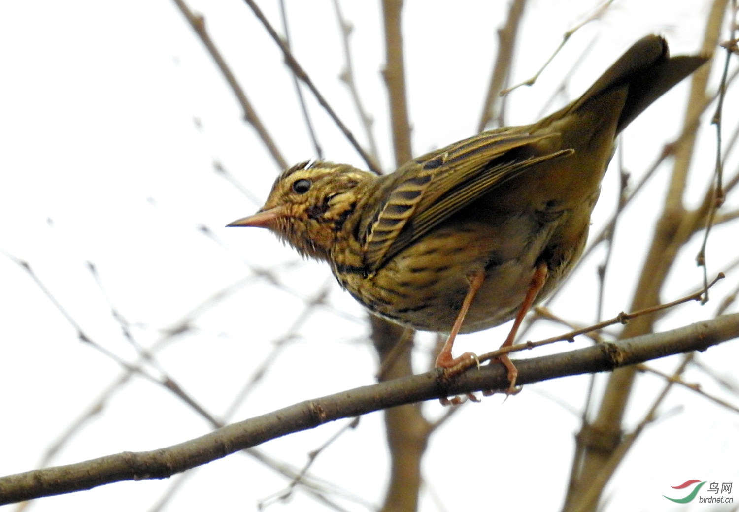 DSCN2035 ����.jpg