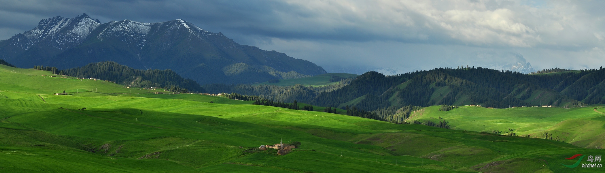 美丽的江布拉克