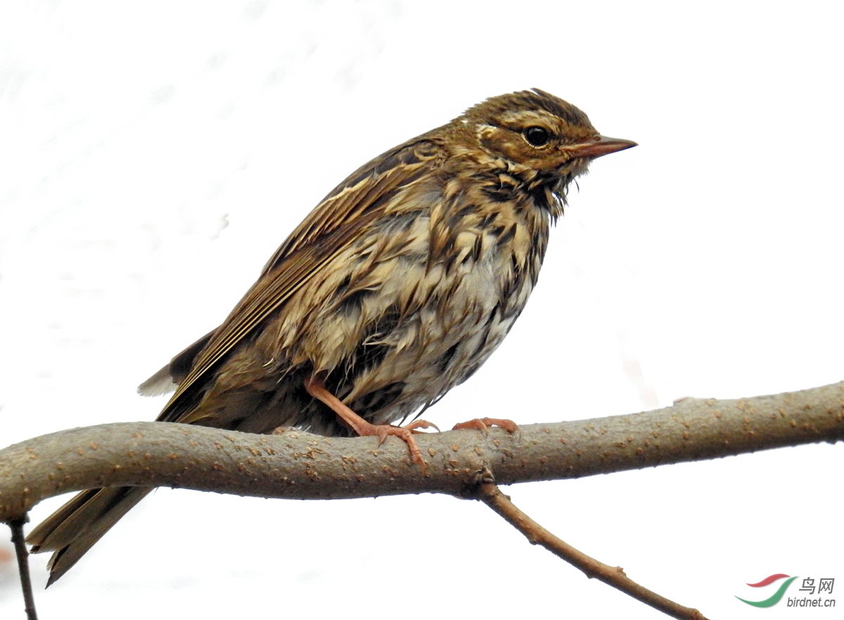 DSCN2055 ����.jpg