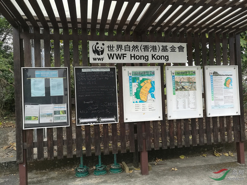 初訪香港米埔溼地公園