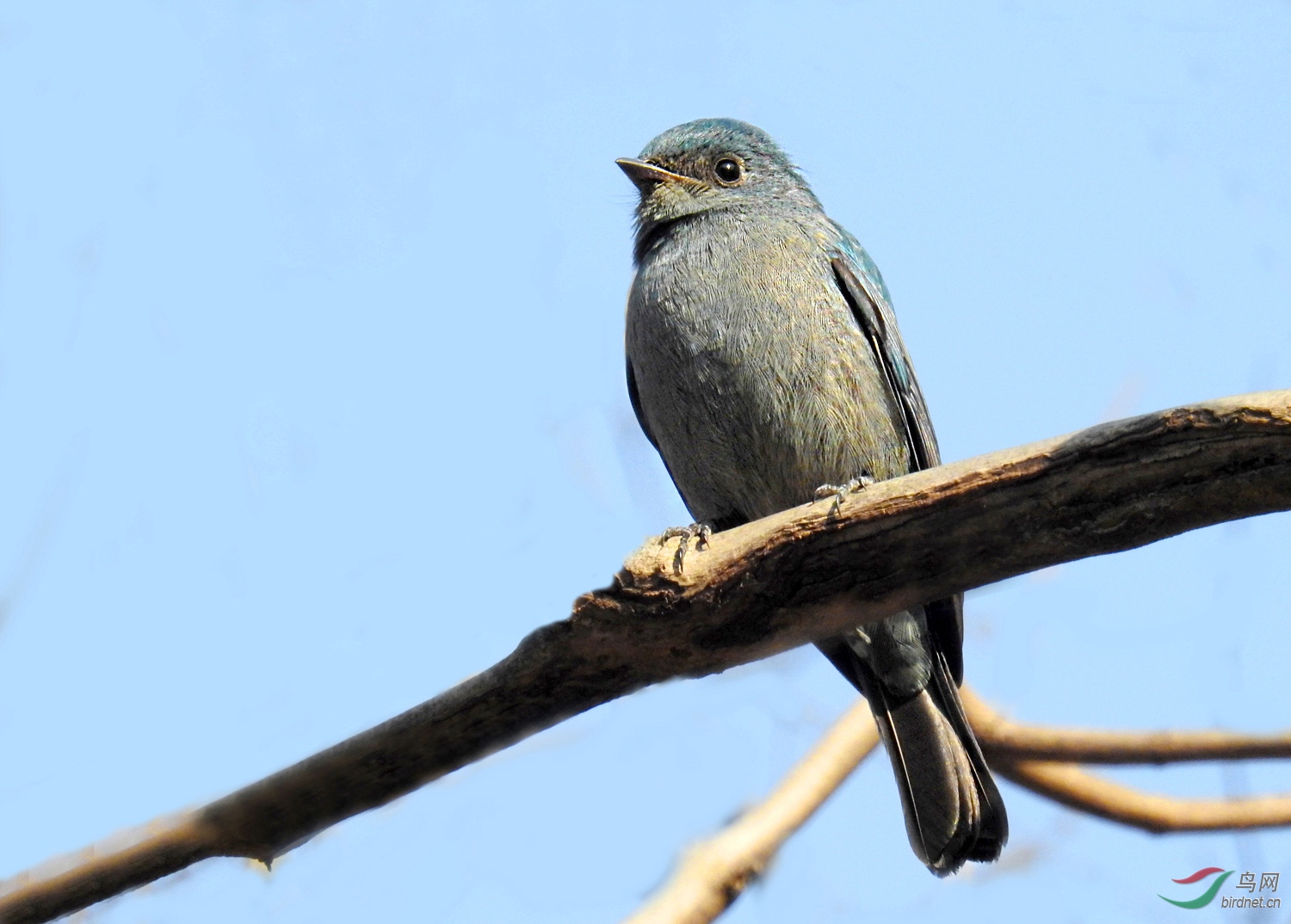 DSCN2157 ����.jpg