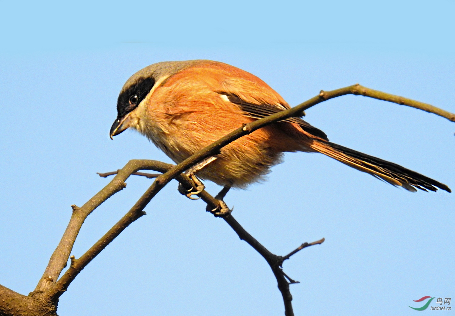 DSCN2293 ����.jpg