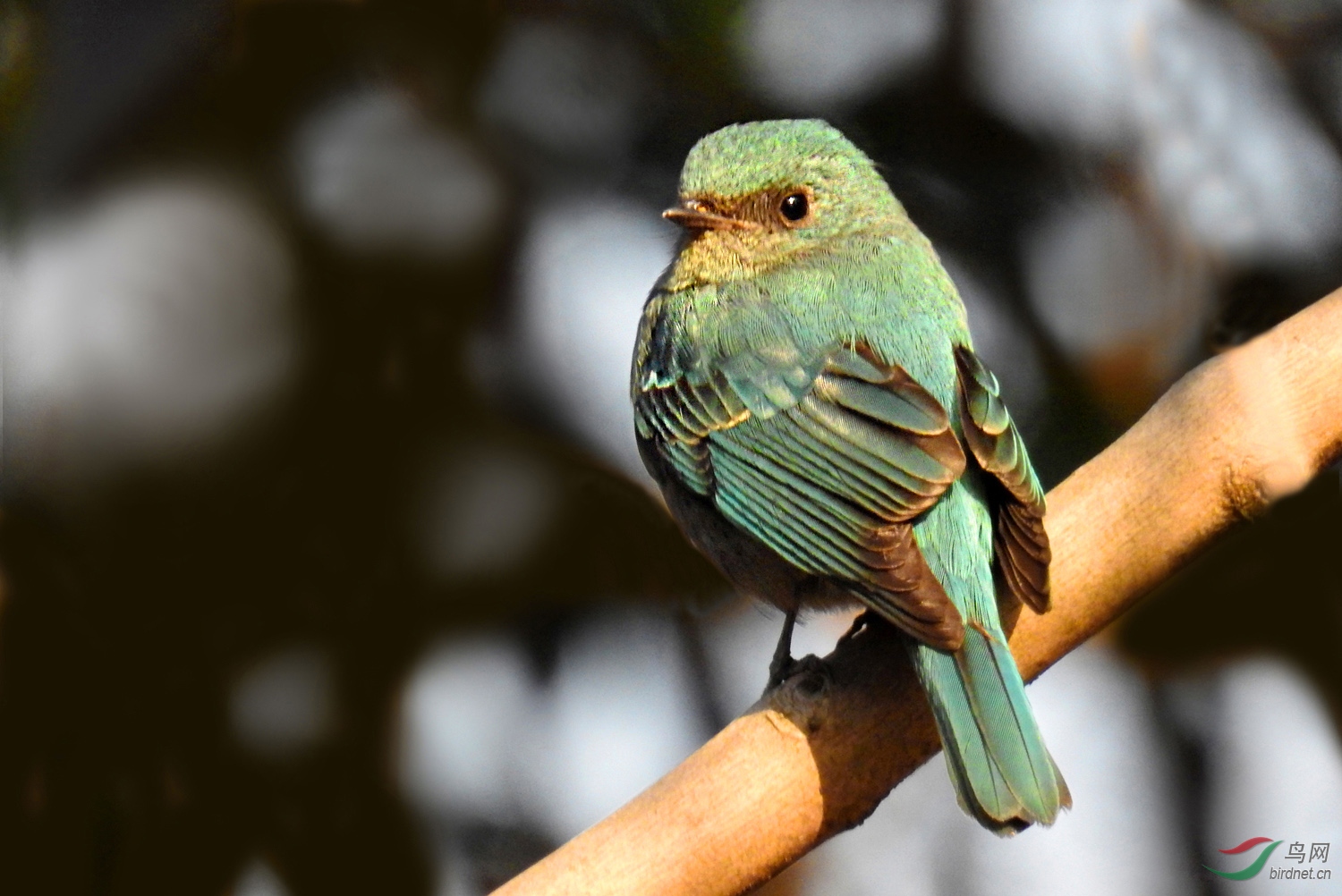 DSCN2265 ����.jpg