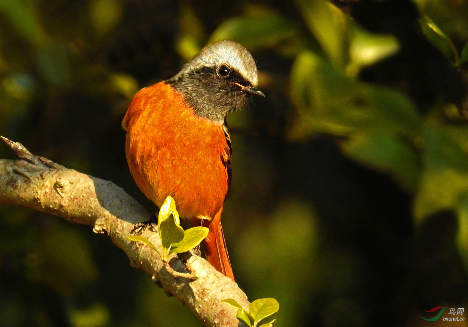 DSCN2235 ����.jpg