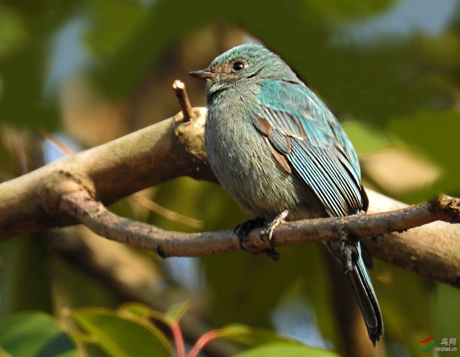 DSCN2216 ����.jpg