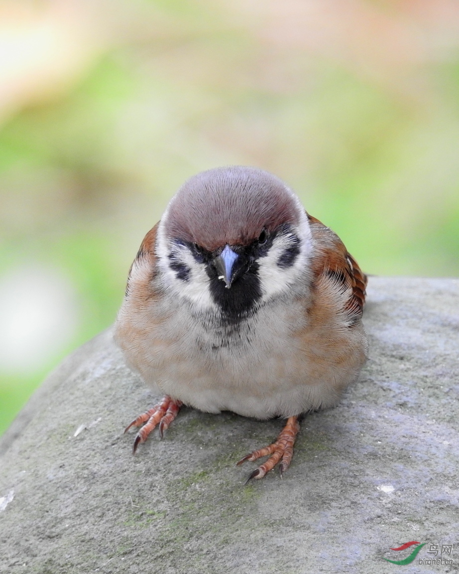 DSCN4860-1.JPG