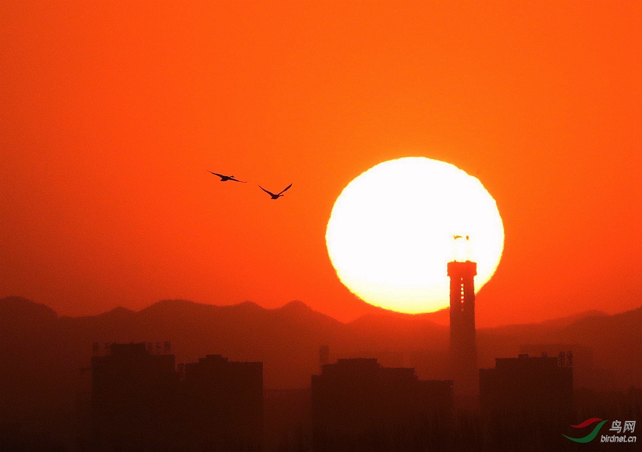 太阳一出红艳艳