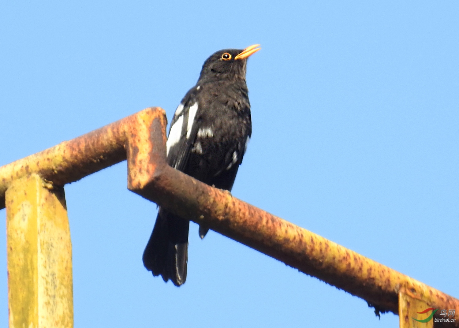 DSCN2338 ����2.jpg