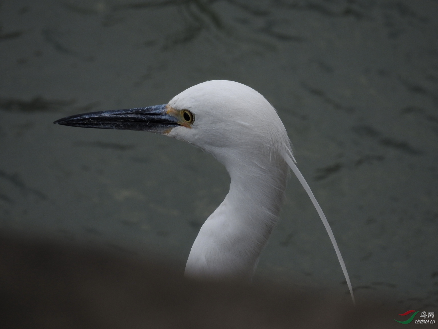 DSCN5227.JPG