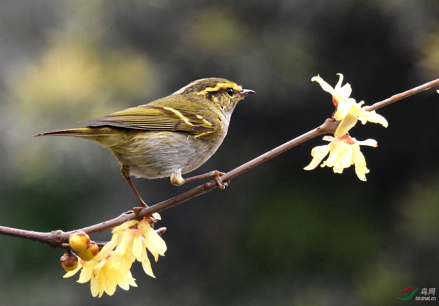 DSCN2504 ����.jpg