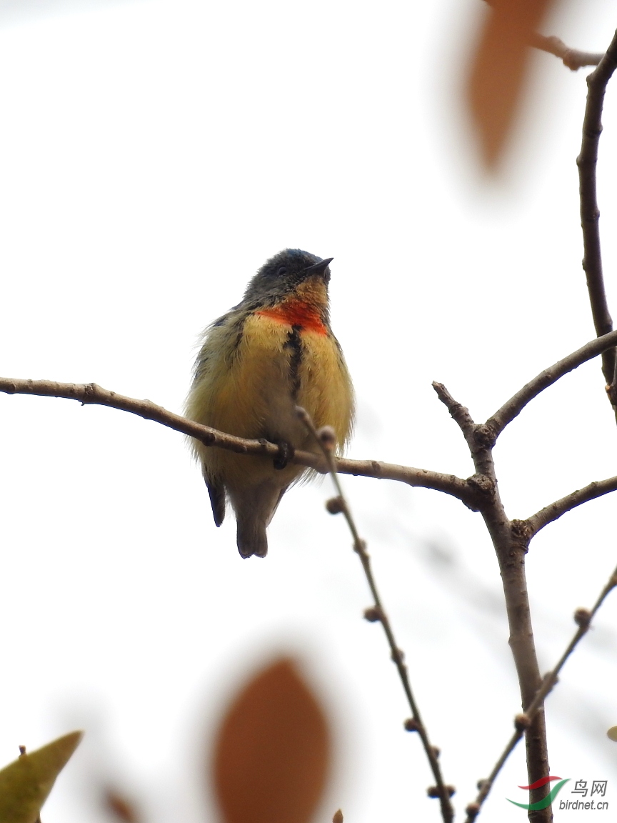 DSCN5353.JPG