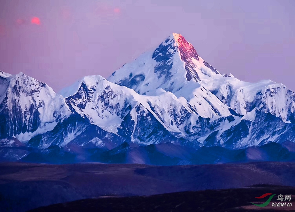 四川大雪山主峰贡嘎雪山祝贺获首页精华