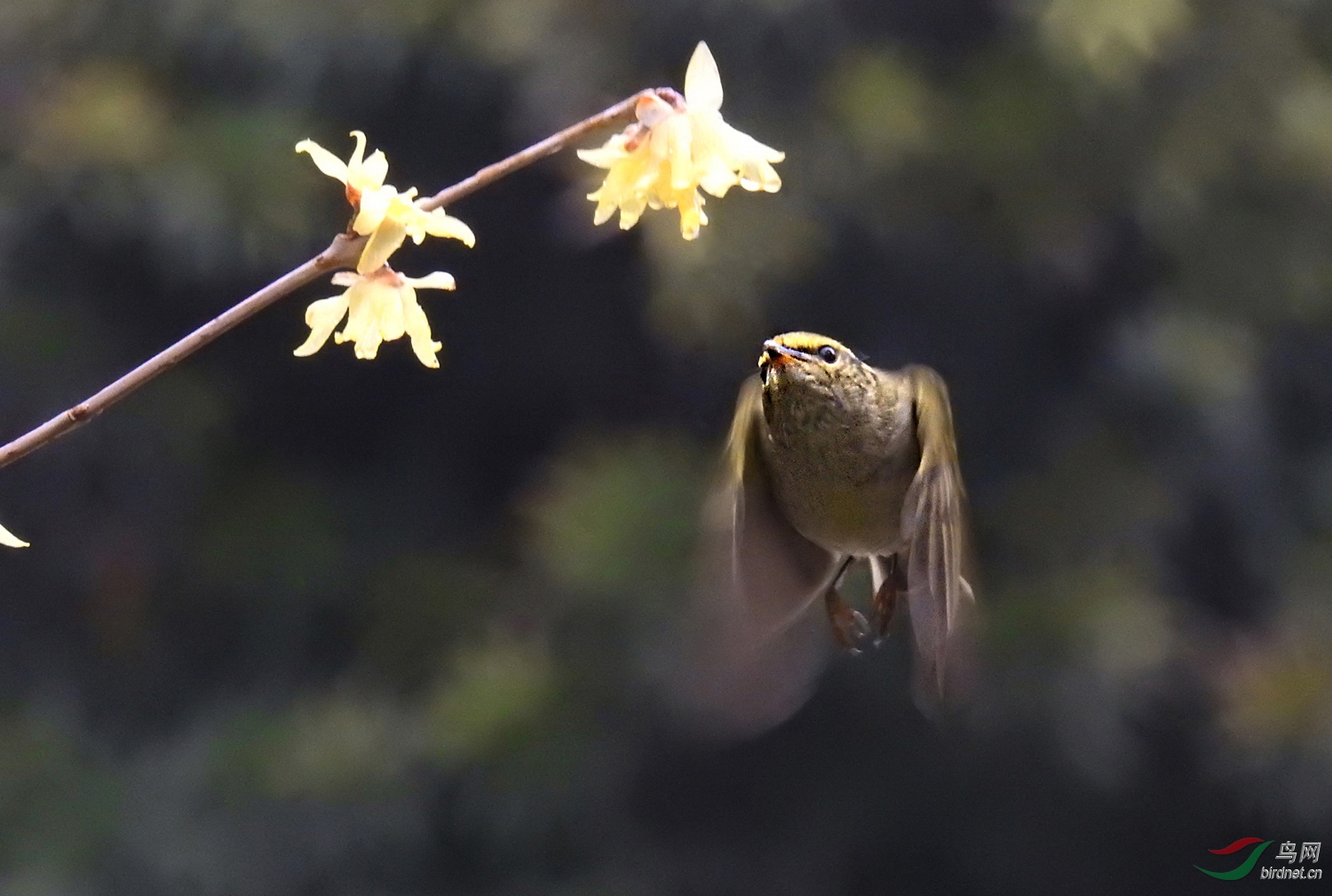 DSCN2539 ����.jpg