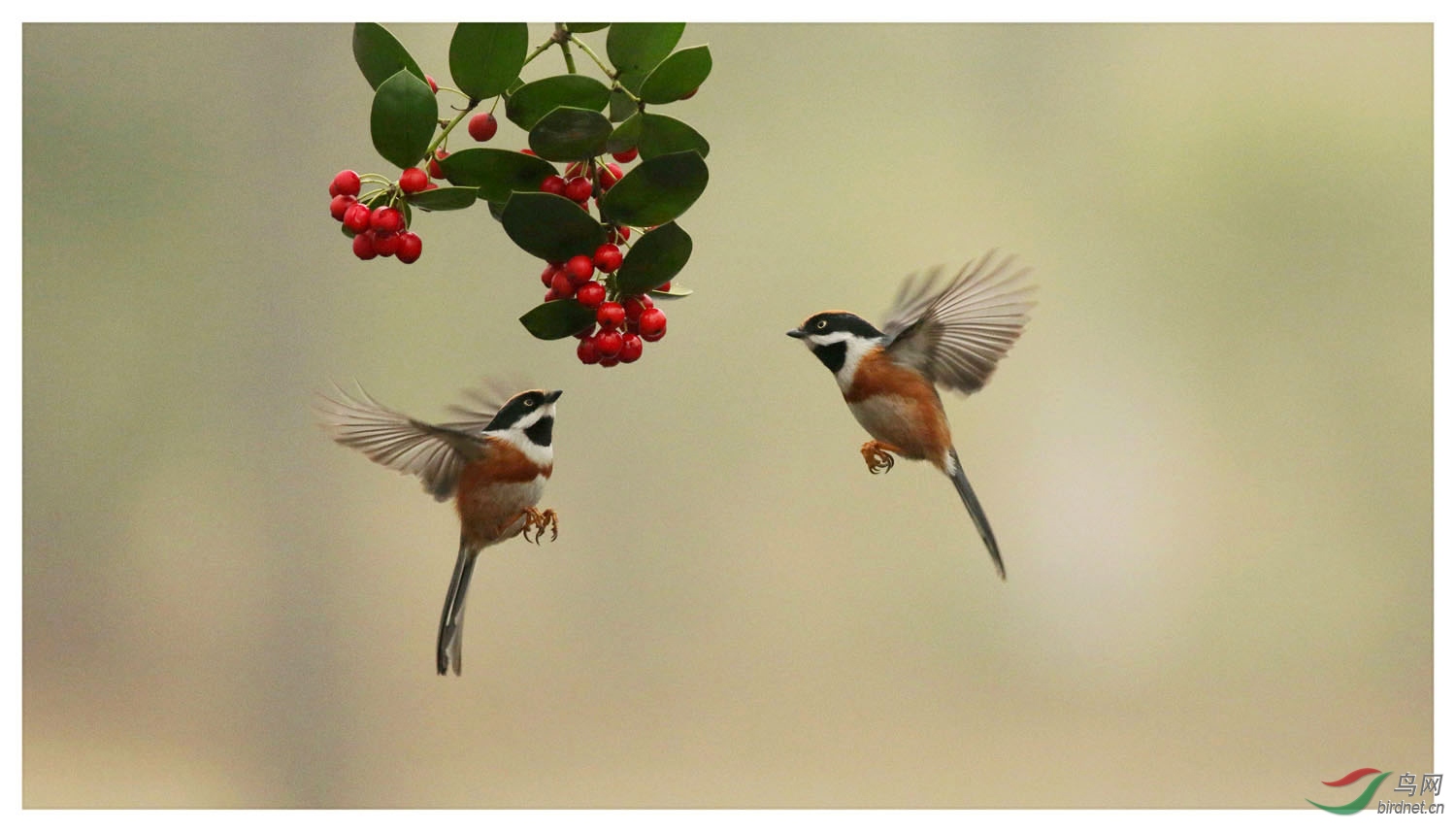 ΢��ͼƬ_20180120121639 ����.jpg