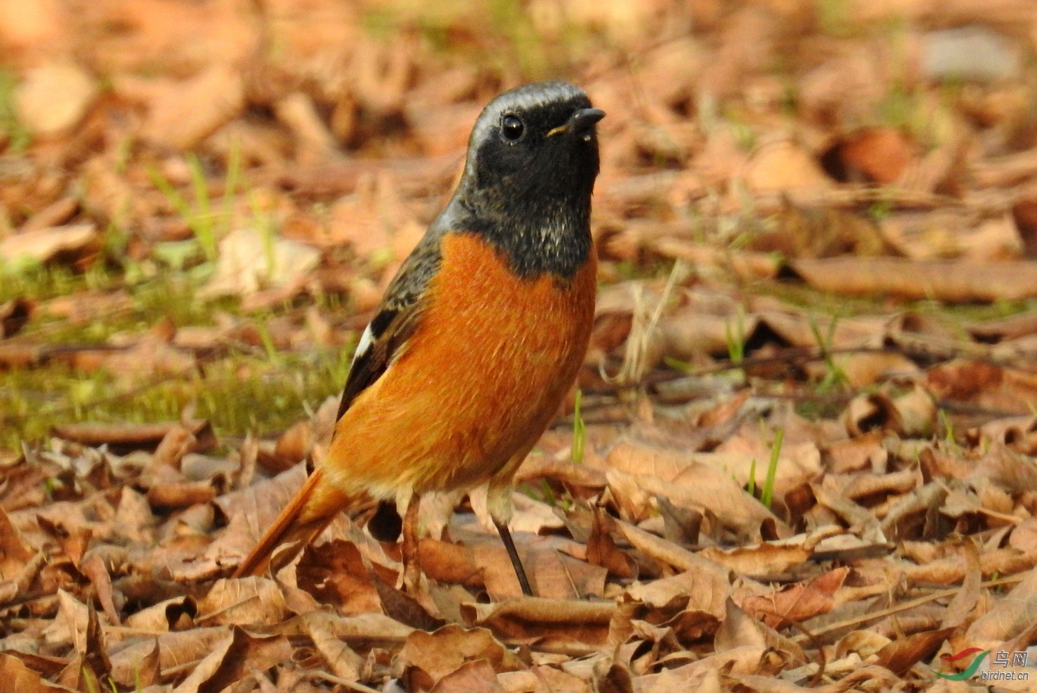 DSCN2351 ����.jpg