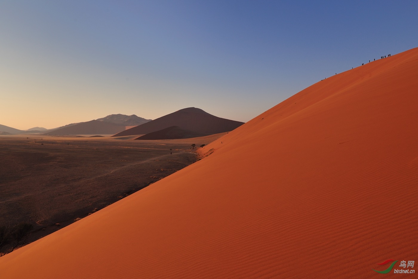 红色沙漠-纳米比亚