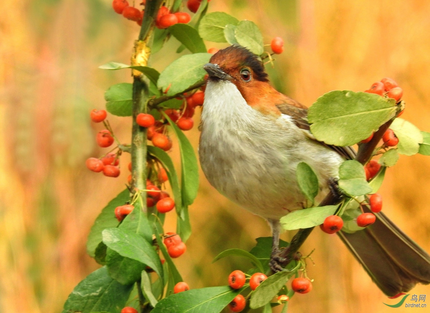 095027brqtnyucysnfqfst ����.jpg