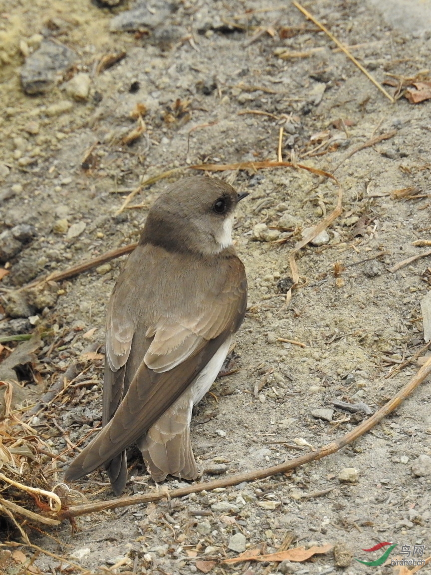 DSCN5240.JPG