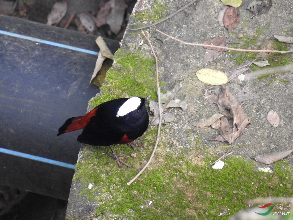 DSCN4056.JPG